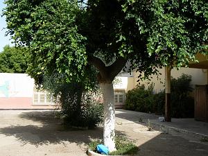 EDGAR QUINET 2009  (11)